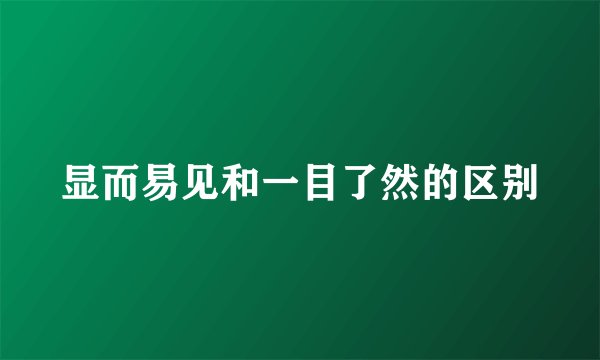 显而易见和一目了然的区别