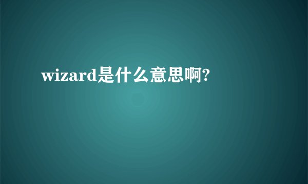 wizard是什么意思啊?