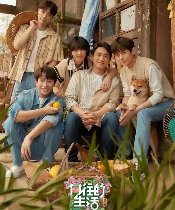 《向往6》收视率暴跌50%，这档综艺节目最大的“败笔”是什么？