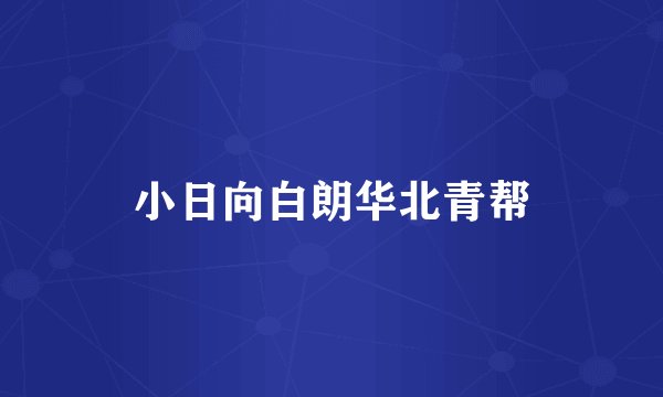小日向白朗华北青帮