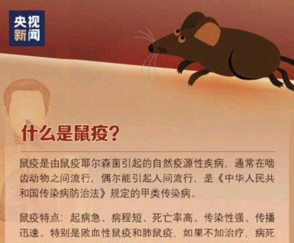 宁夏银川市确诊一例输入性鼠疫病例,俗称黑死病,曾肆虐欧洲