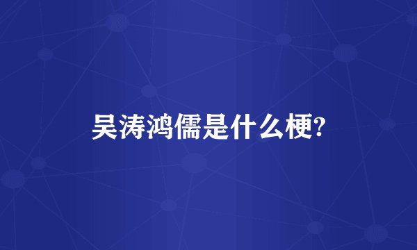 吴涛鸿儒是什么梗?