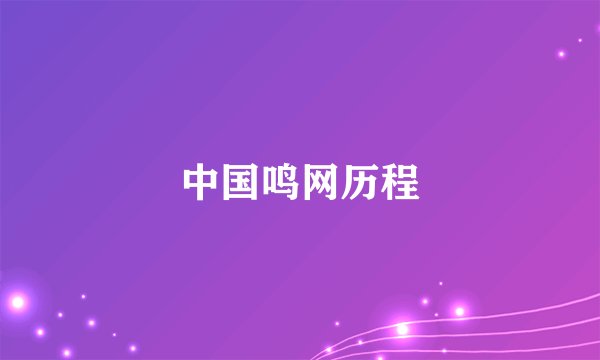 中国鸣网历程