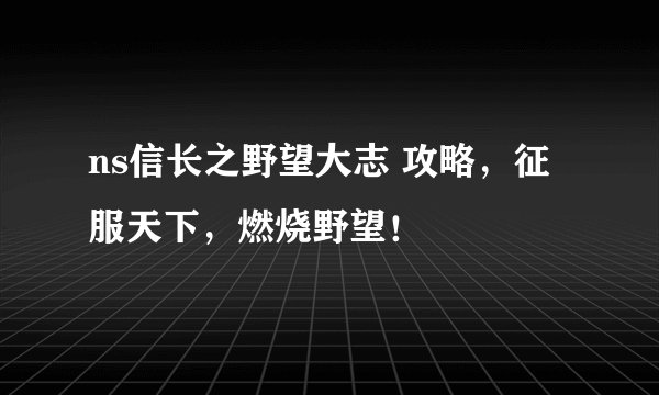 ns信长之野望大志 攻略，征服天下，燃烧野望！