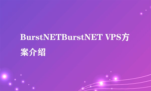 BurstNETBurstNET VPS方案介绍