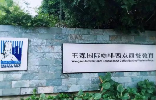 王森西点学校学费明细