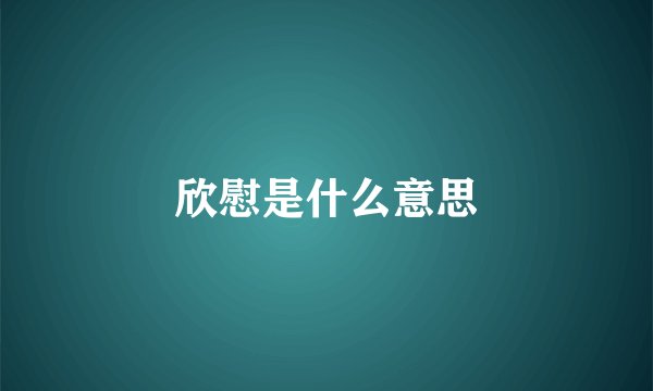 欣慰是什么意思