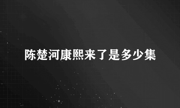 陈楚河康熙来了是多少集
