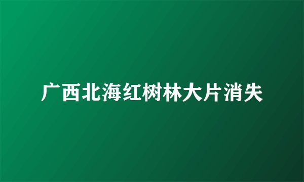 广西北海红树林大片消失
