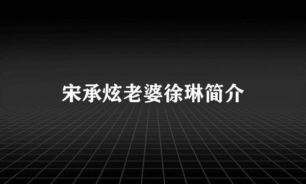 宋承炫老婆徐琳简介