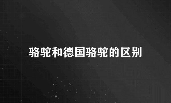 骆驼和德国骆驼的区别