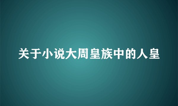 关于小说大周皇族中的人皇
