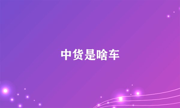 中货是啥车