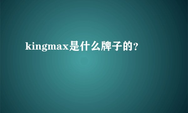 kingmax是什么牌子的？