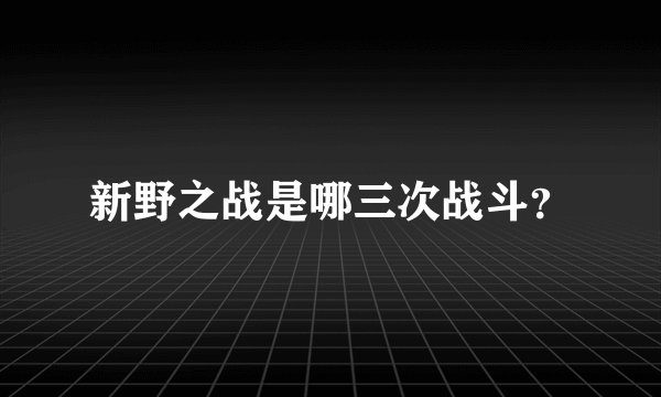 新野之战是哪三次战斗？