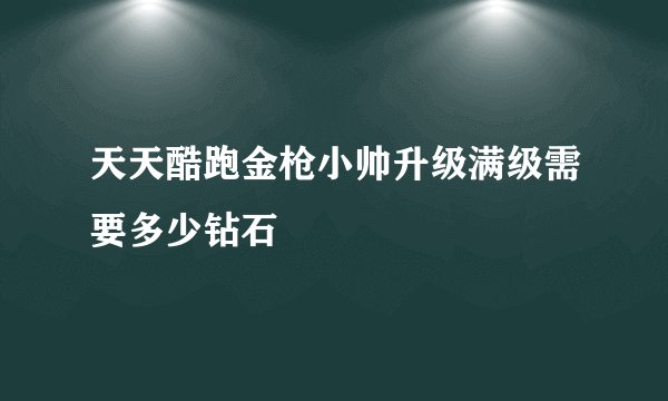 天天酷跑金枪小帅升级满级需要多少钻石