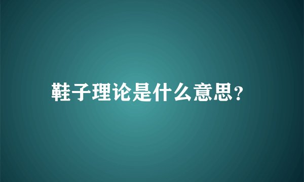 鞋子理论是什么意思？