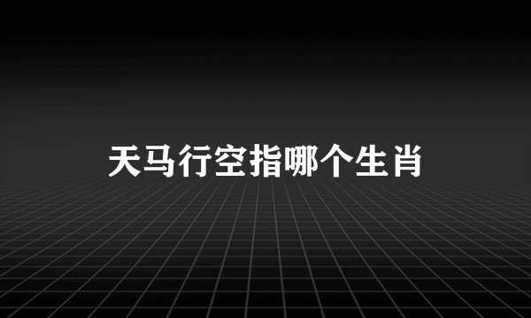 天马行空指哪个生肖