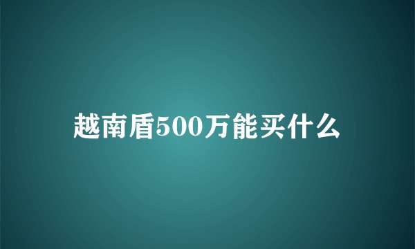 越南盾500万能买什么