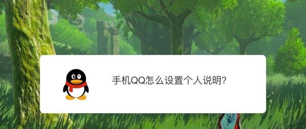 手机QQ怎么设置个人说明？