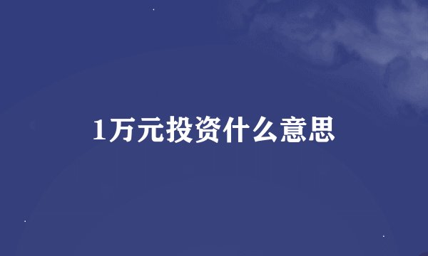 1万元投资什么意思