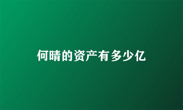 何晴的资产有多少亿