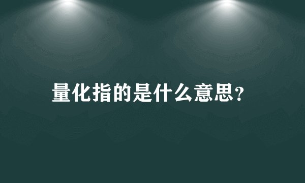 量化指的是什么意思？