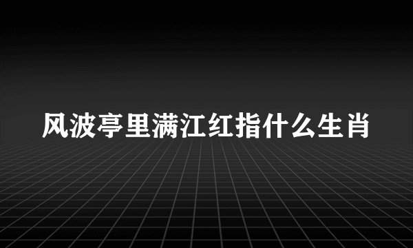 风波亭里满江红指什么生肖