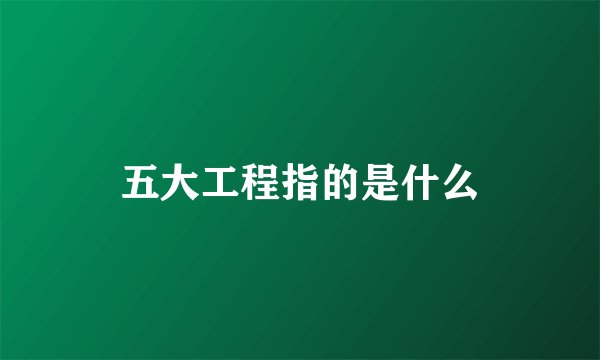 五大工程指的是什么