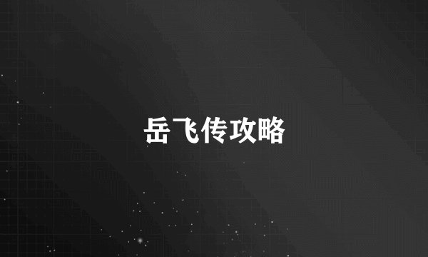 岳飞传攻略
