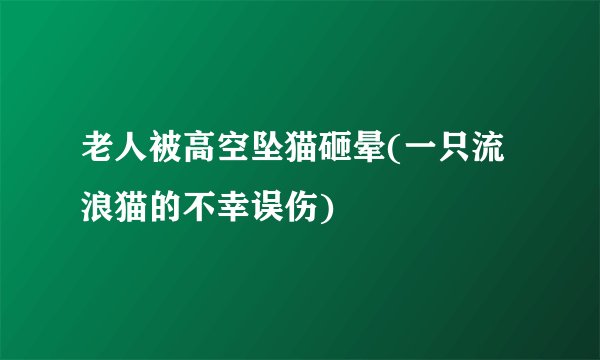 老人被高空坠猫砸晕(一只流浪猫的不幸误伤)