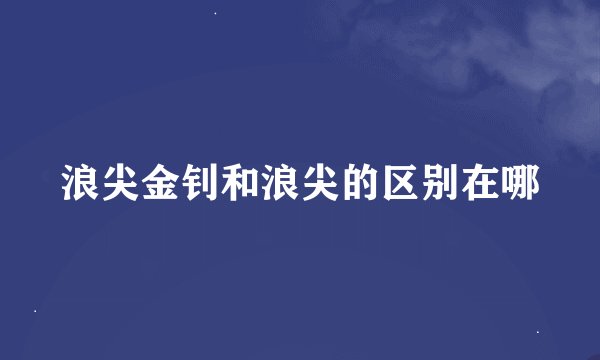 浪尖金钊和浪尖的区别在哪