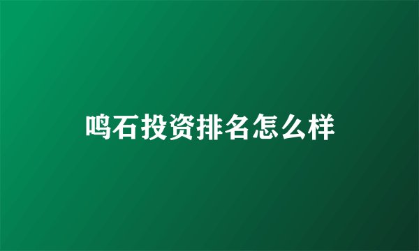 鸣石投资排名怎么样