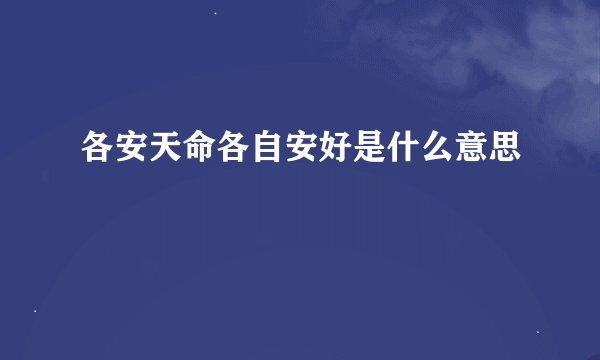 各安天命各自安好是什么意思