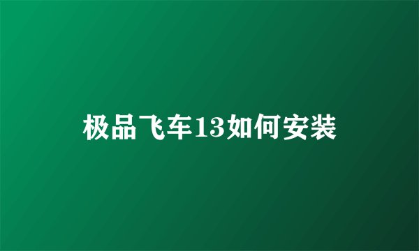 极品飞车13如何安装