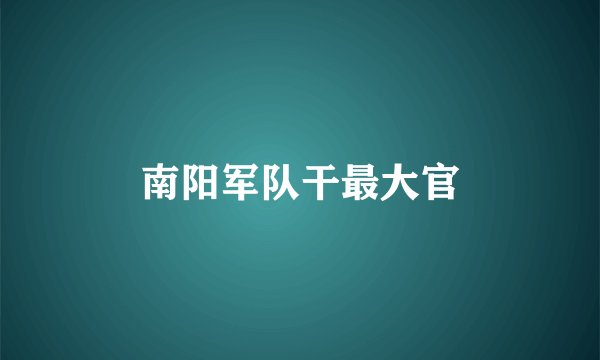 南阳军队干最大官