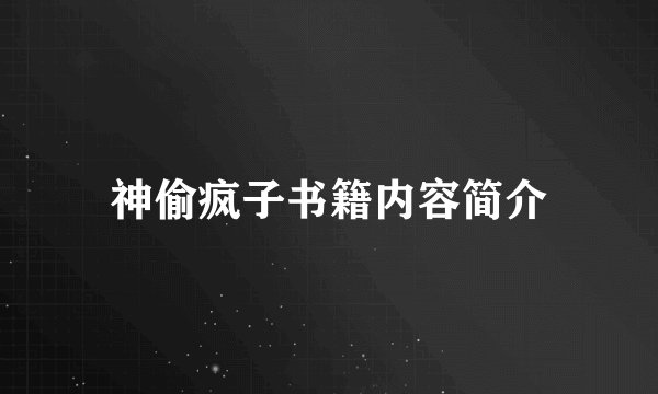 神偷疯子书籍内容简介