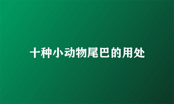 十种小动物尾巴的用处
