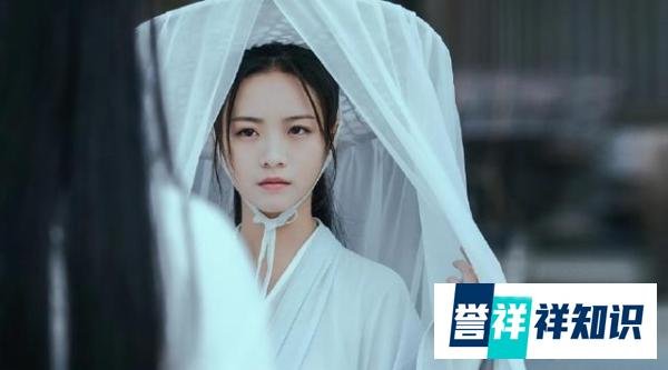 《雪中悍刀行》徐凤年的五大丫鬟两个是叛徒，其余三人做了老婆