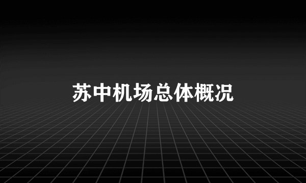 苏中机场总体概况