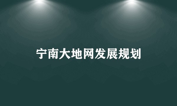宁南大地网发展规划