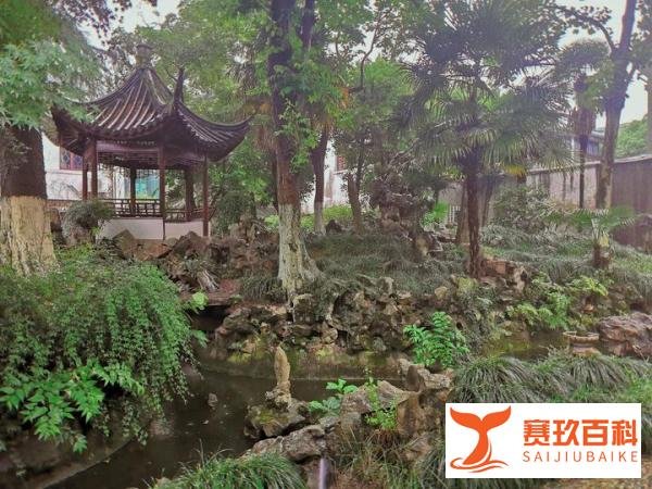 苏州篇（5）：藏身于图书馆里的小园林——天香小筑