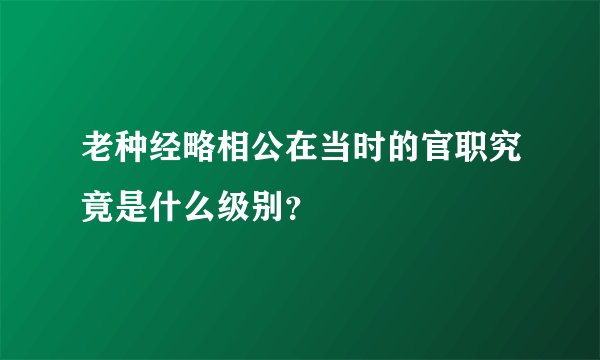 老种经略相公在当时的官职究竟是什么级别？