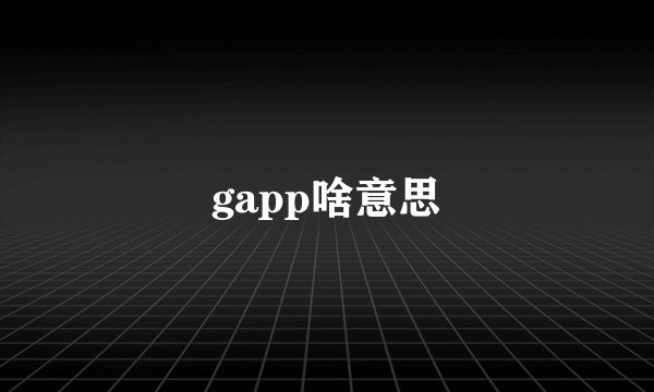 gapp啥意思