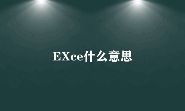 EXce什么意思