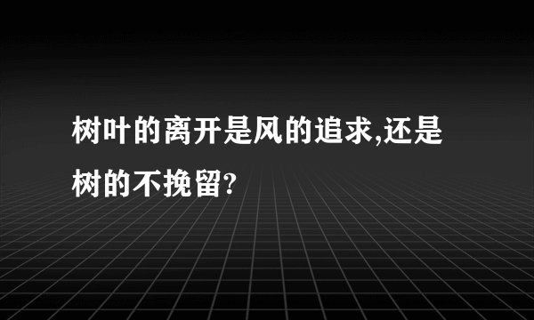 树叶的离开是风的追求,还是树的不挽留?