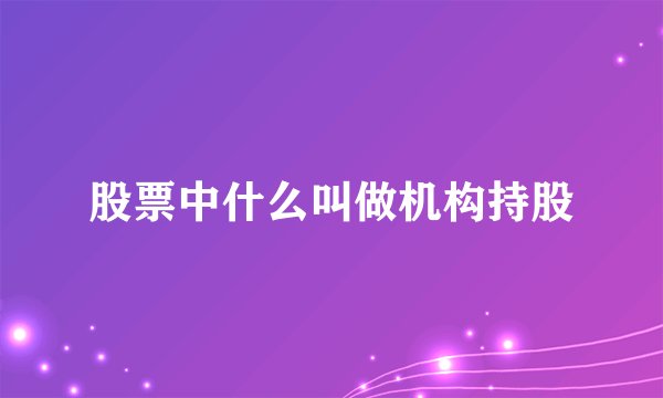 股票中什么叫做机构持股