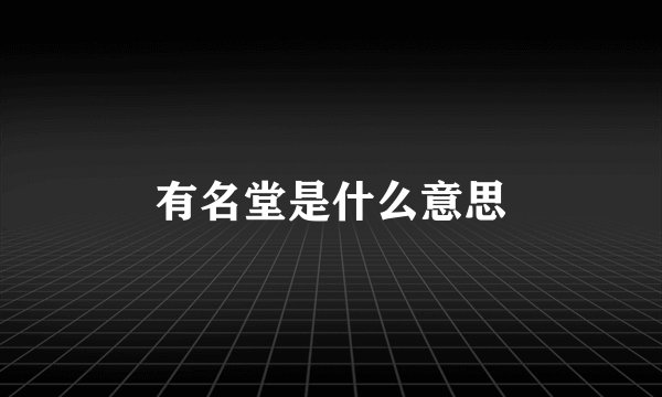 有名堂是什么意思
