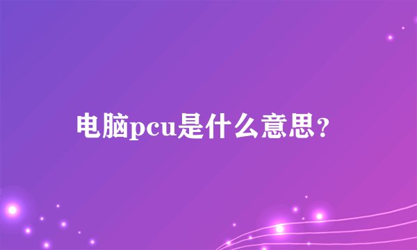 电脑pcu是什么意思？