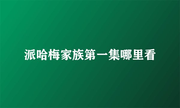 派哈梅家族第一集哪里看